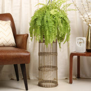 Cosmos Metal Planter 82 cm in Gold Colour - HomeTown