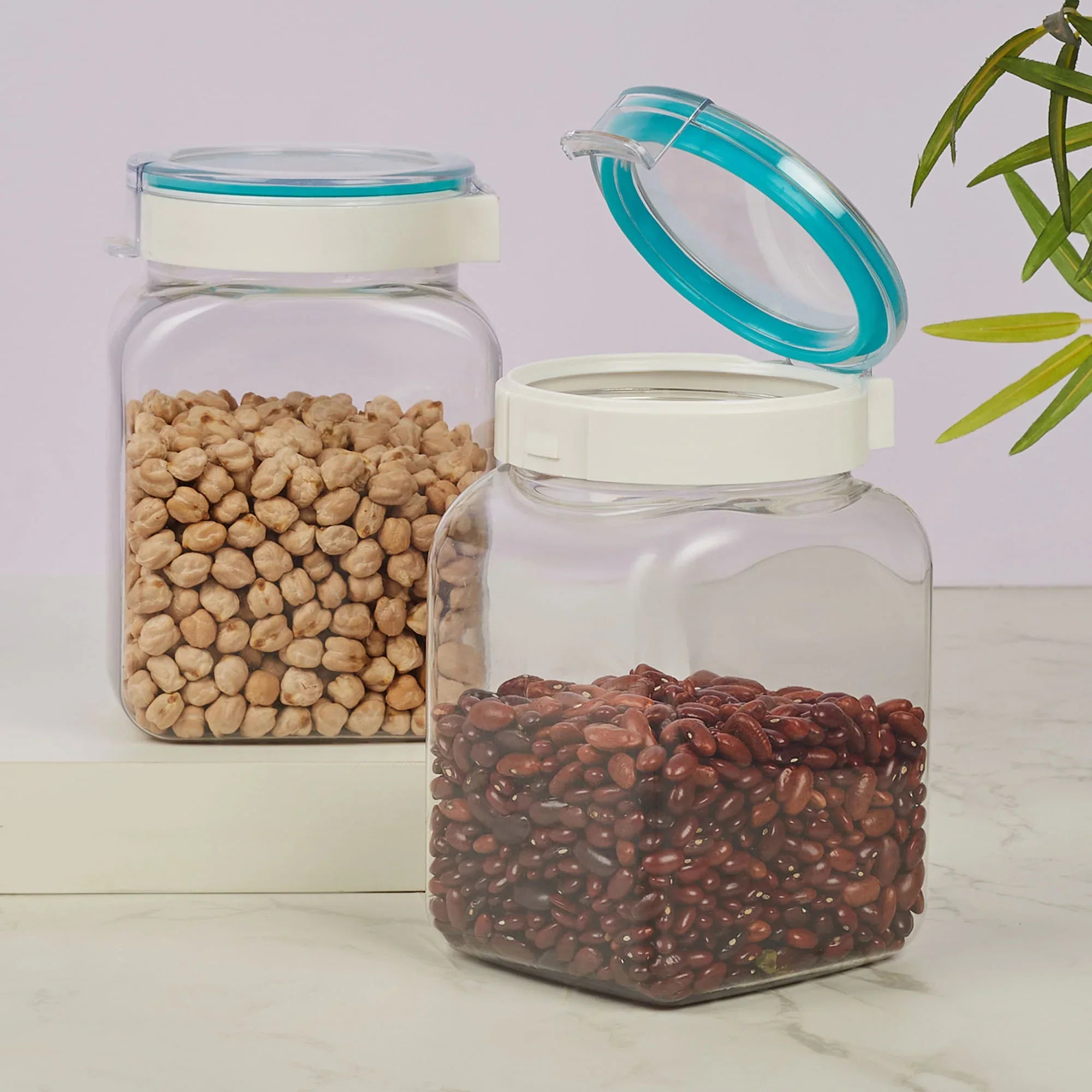 Flexo BPA Free Easy Lock Square Container 1.1 Ltr Set of 2 in Teal & Transparent Colour - HomeTown