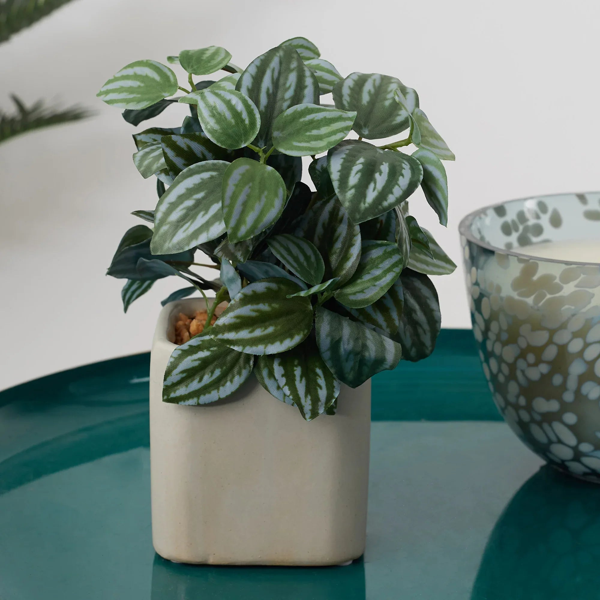 Ilana Faux Peperomia Ceramic Potted Plant 20 Cm in Green Colour - HomeTown