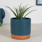 Alura Milan Ceramic Planter 16Cm in Blue Colour - HomeTown