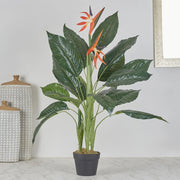 Ilana Artificial Paradise Bird Potted Plant 100Cm in Green Colour - HomeTown