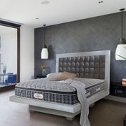 Club Class Petal Orthopedic Back Support Pocket Spring Single Mattress 72x36x6 Inch in Grey Colour - HomeTown