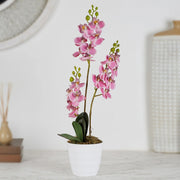 Ilana Artificial Orchid Potted Plant 45Cm in Pink Colour - HomeTown