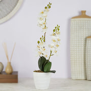 Ilana Artificial Orchid Potted Plant 45Cm in White Colour - HomeTown