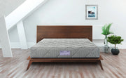 Spinesafe PU Foam Queen Mattress in Assorrted Colour - HomeTown