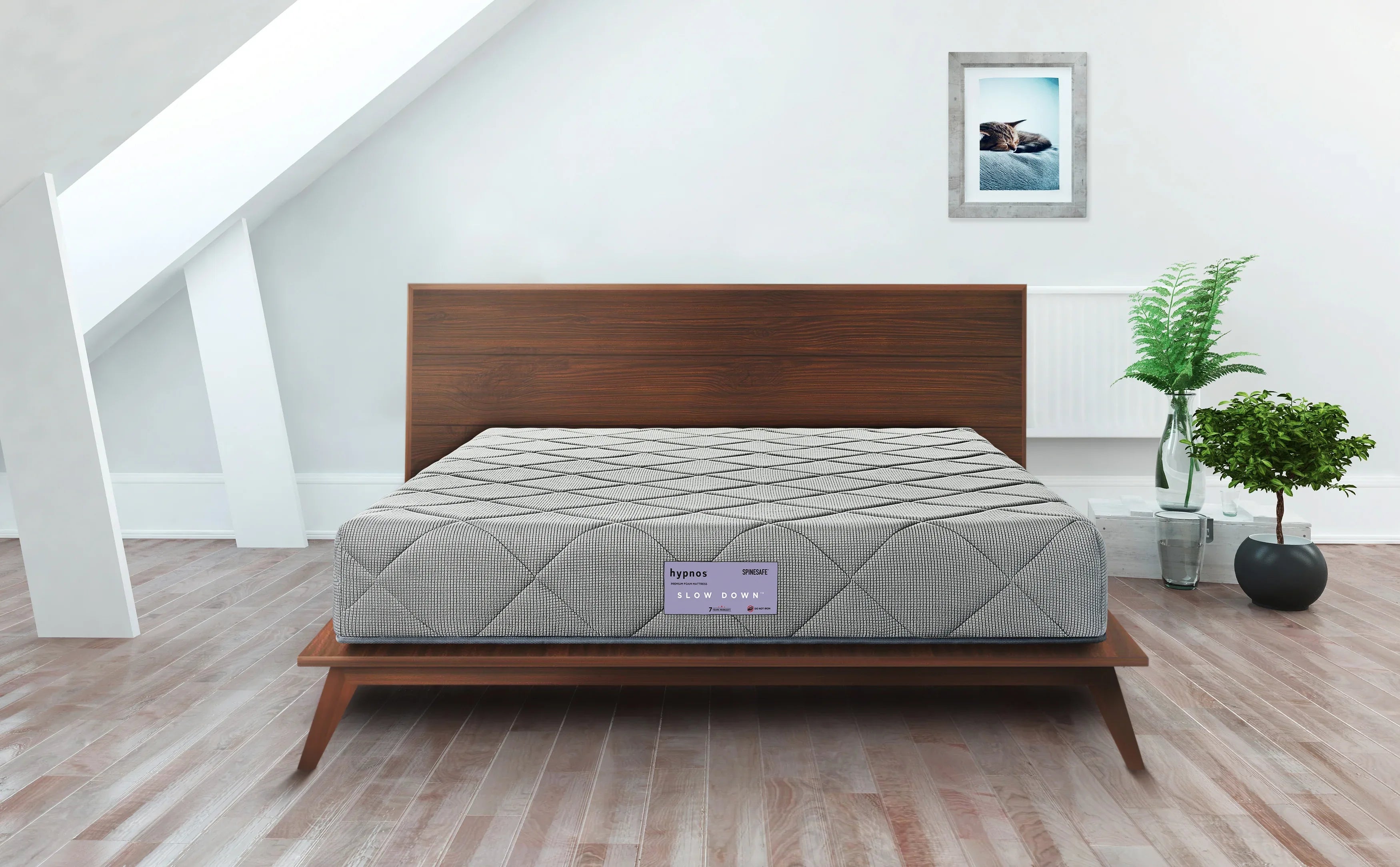 Spinesafe PU Foam Queen Mattress in Assorrted Colour - HomeTown