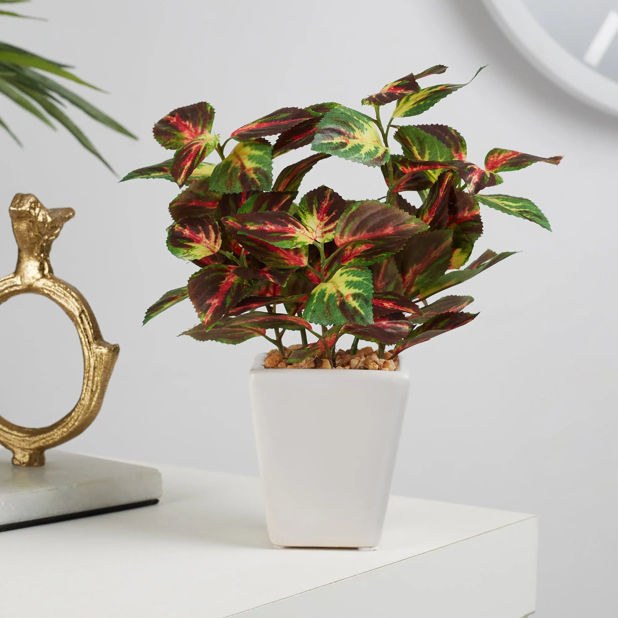 Ilana Faux Coleus Ceramic Potted Plant 19 Cm in Green Colour - HomeTown