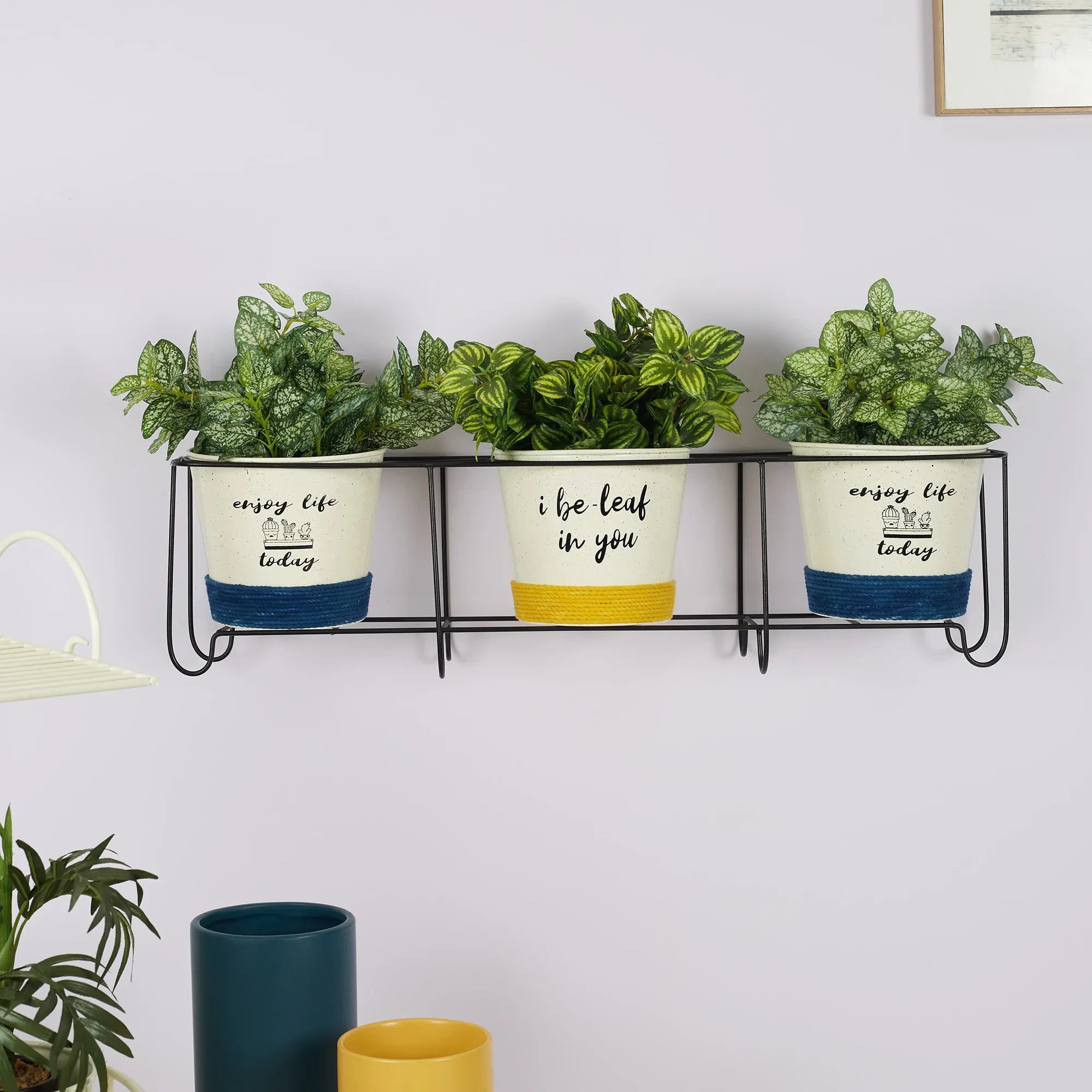 Pep Pop Metal Funky Quote Wall Planter 67X18Cm in Multi Colour - HomeTown