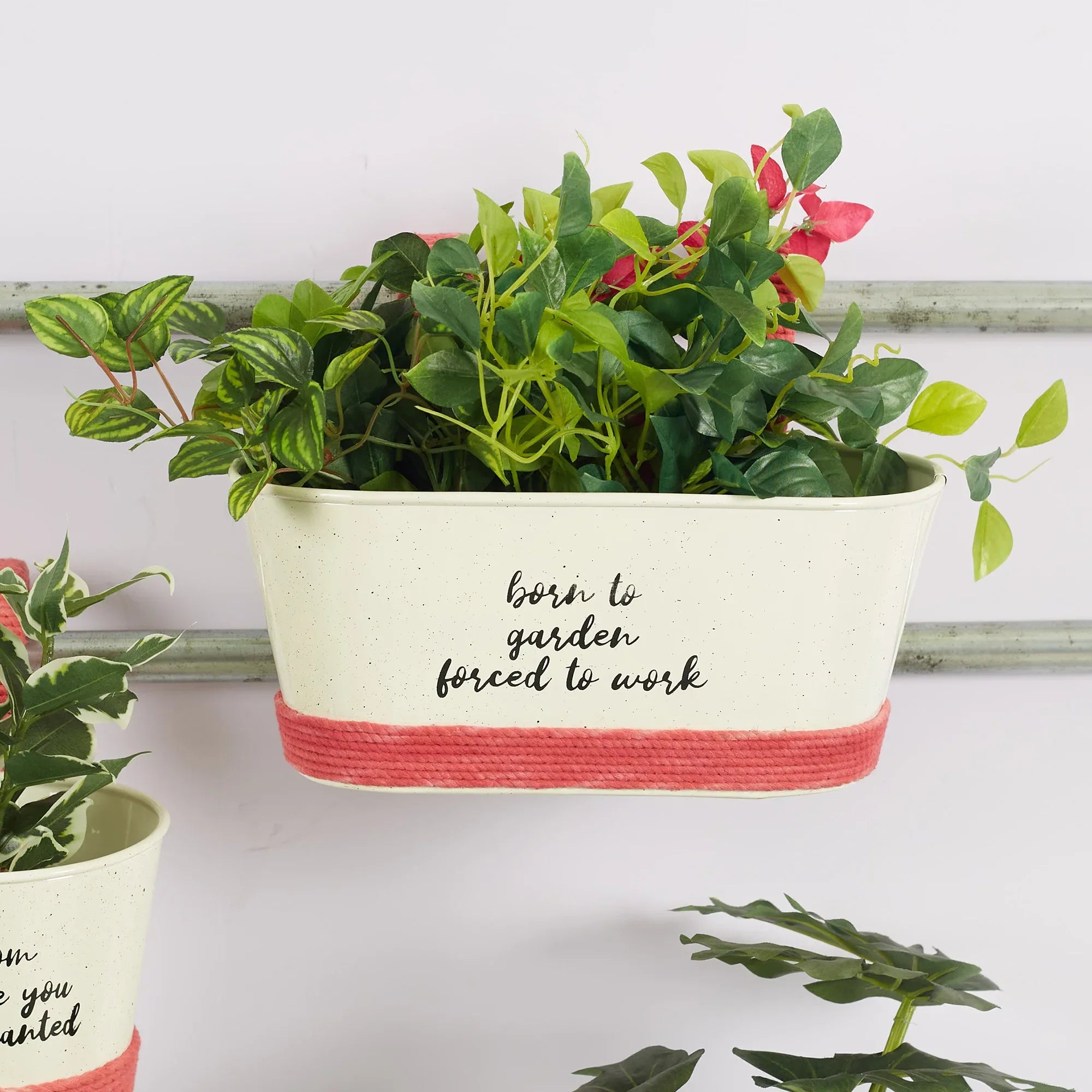 Pep Pop Metal Funky Quote Railing Planter 28X19Cm in Off White & Fuchsia Colour - HomeTown