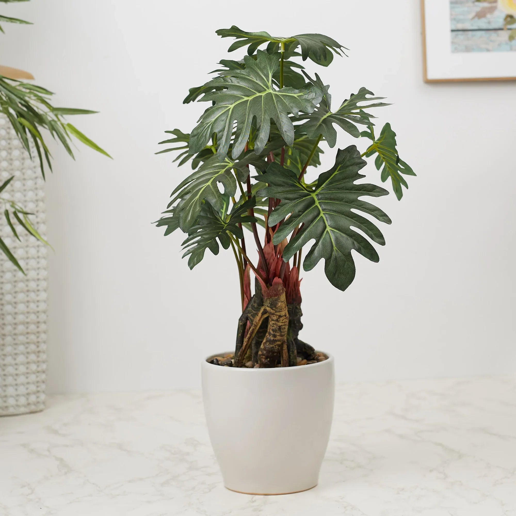 Ilana Faux Philodendron Ceramic Potted Plant 56 Cm in Green Colour - HomeTown