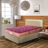 Springkoil Bonnel Spring Queen Mattress in Maroon Colour