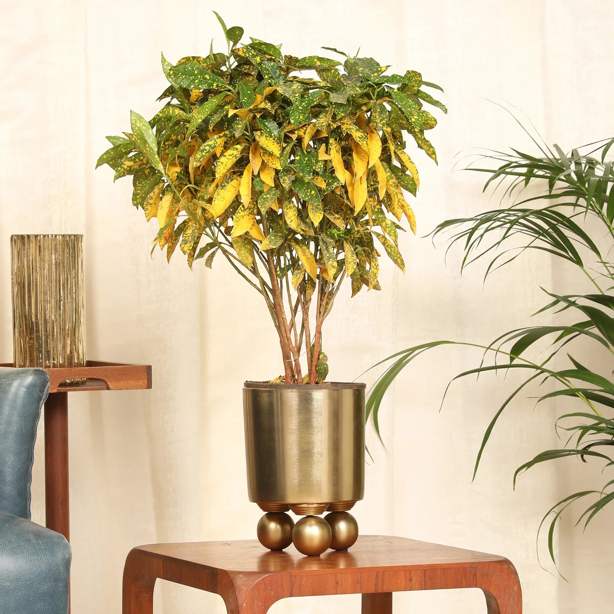 Cosmos Metal Planter 20 cm in Gold Colour - HomeTown