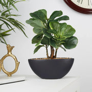 Ilana Faux Fiddle Ceramic Potted Plant 29 Cm in Green Colour - HomeTown