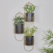 Artiskylar Metal Matt Finish Wall Planter 88 Cm in Black and Gold Colour - HomeTown