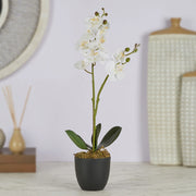 Ilana Artificial Orchid Potted Plant 40Cm in White Colour - HomeTown
