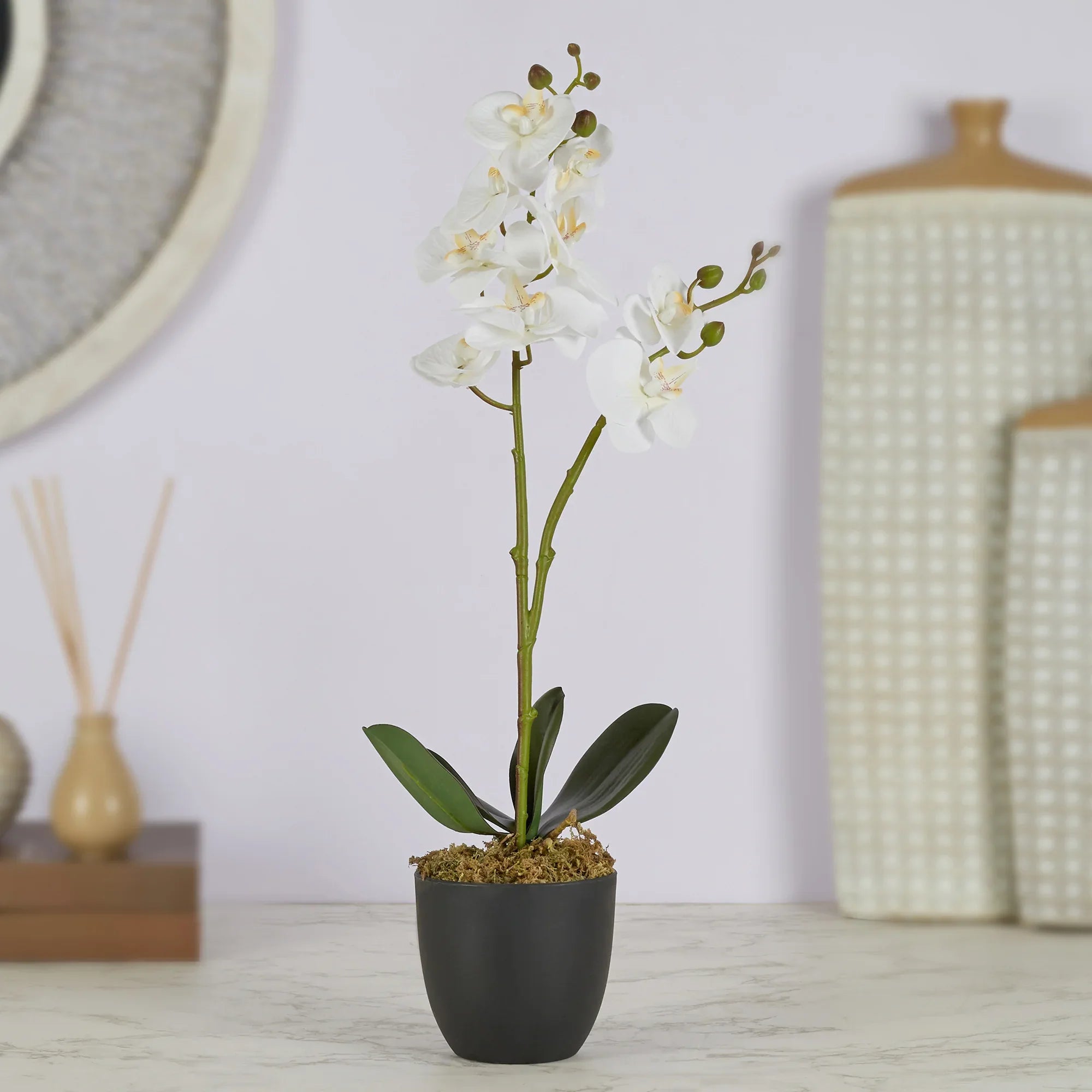 Ilana Artificial Orchid Potted Plant 40Cm in White Colour - HomeTown