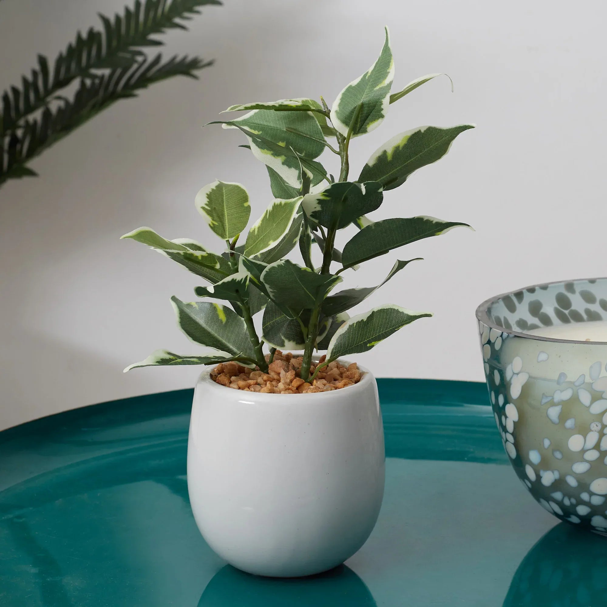 Ilana Faux Quercus Ceramic Potted Plant 23 Cm in Green Colour - HomeTown