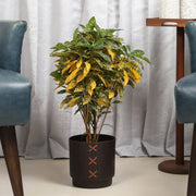 Cosmos Metal Planter 17 cm in Brown Colour - HomeTown