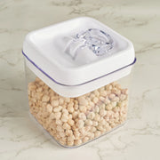 Robusto BPA Free Easy Lock Square Container 1000ml in Transparent & White Colour - HomeTown