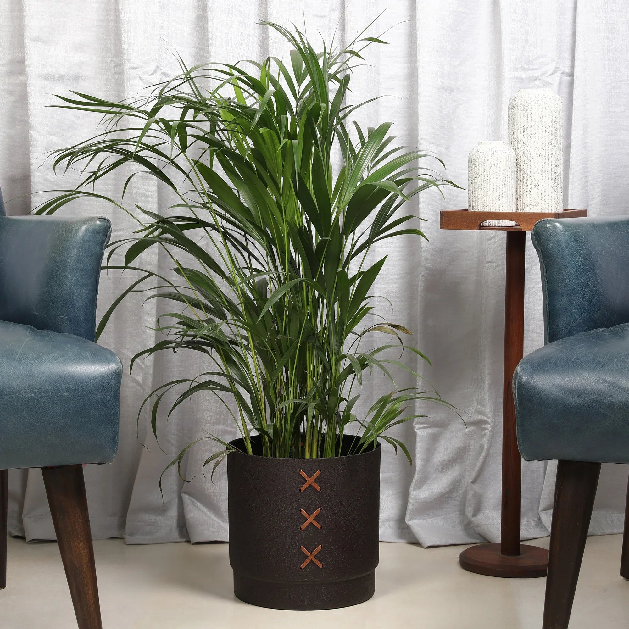 Cosmos Metal Planter 24 cm in Brown Colour - HomeTown