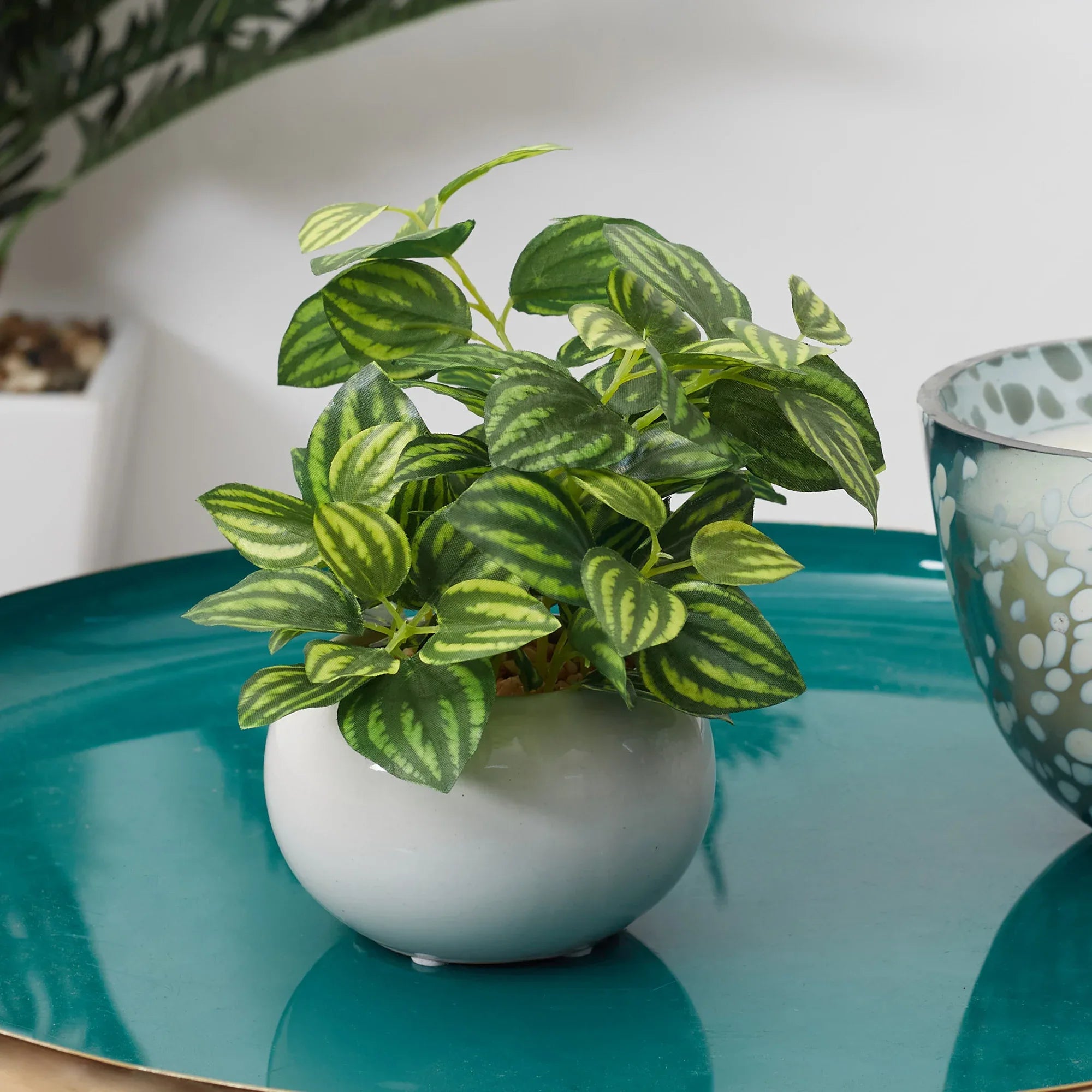 Ilana Faux Peperomia Ceramic Potted Plant 17 Cm in Green Colour - HomeTown