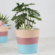 Pep Pop Metal Multi Band Planter 19Cm in Blush Colour - HomeTown