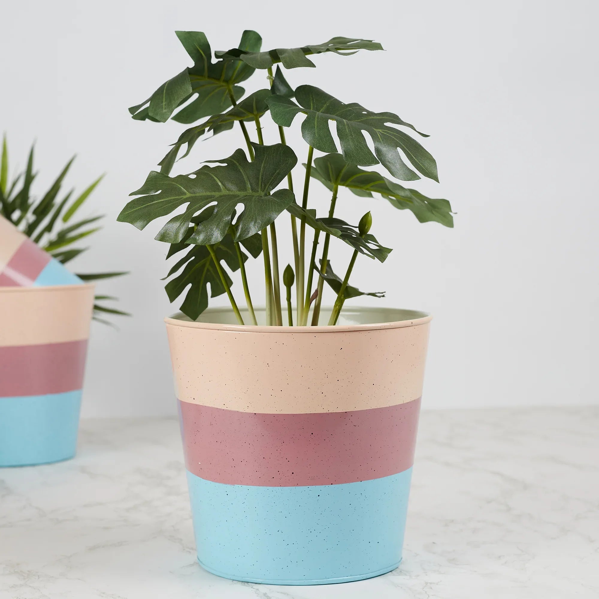 Pep Pop Metal Multi Band Planter 19Cm in Blush Colour - HomeTown