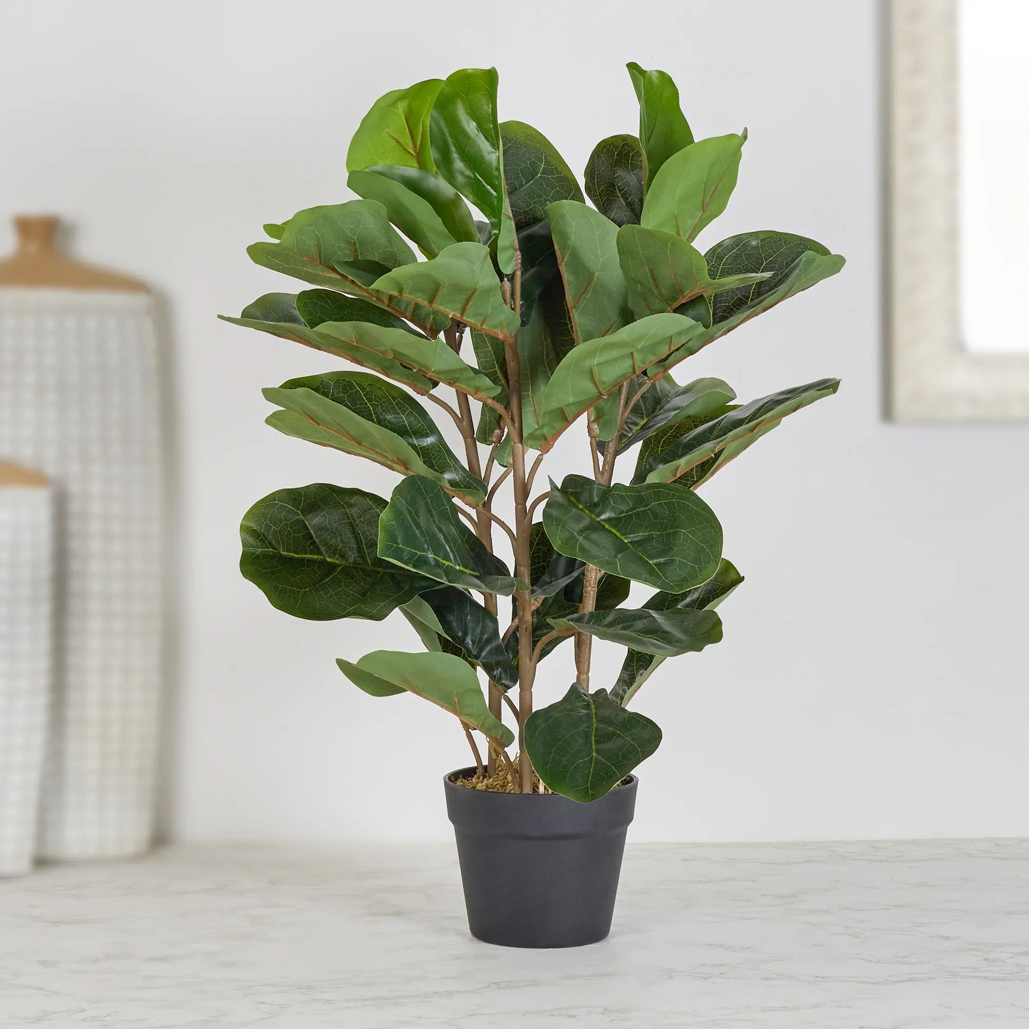 Ilana Artificial Fiddle Potted Plant 70Cm in Green Colour - HomeTown