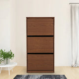 Alder Engineered Wood 3 Tier Shoe Rack in Oak Colour