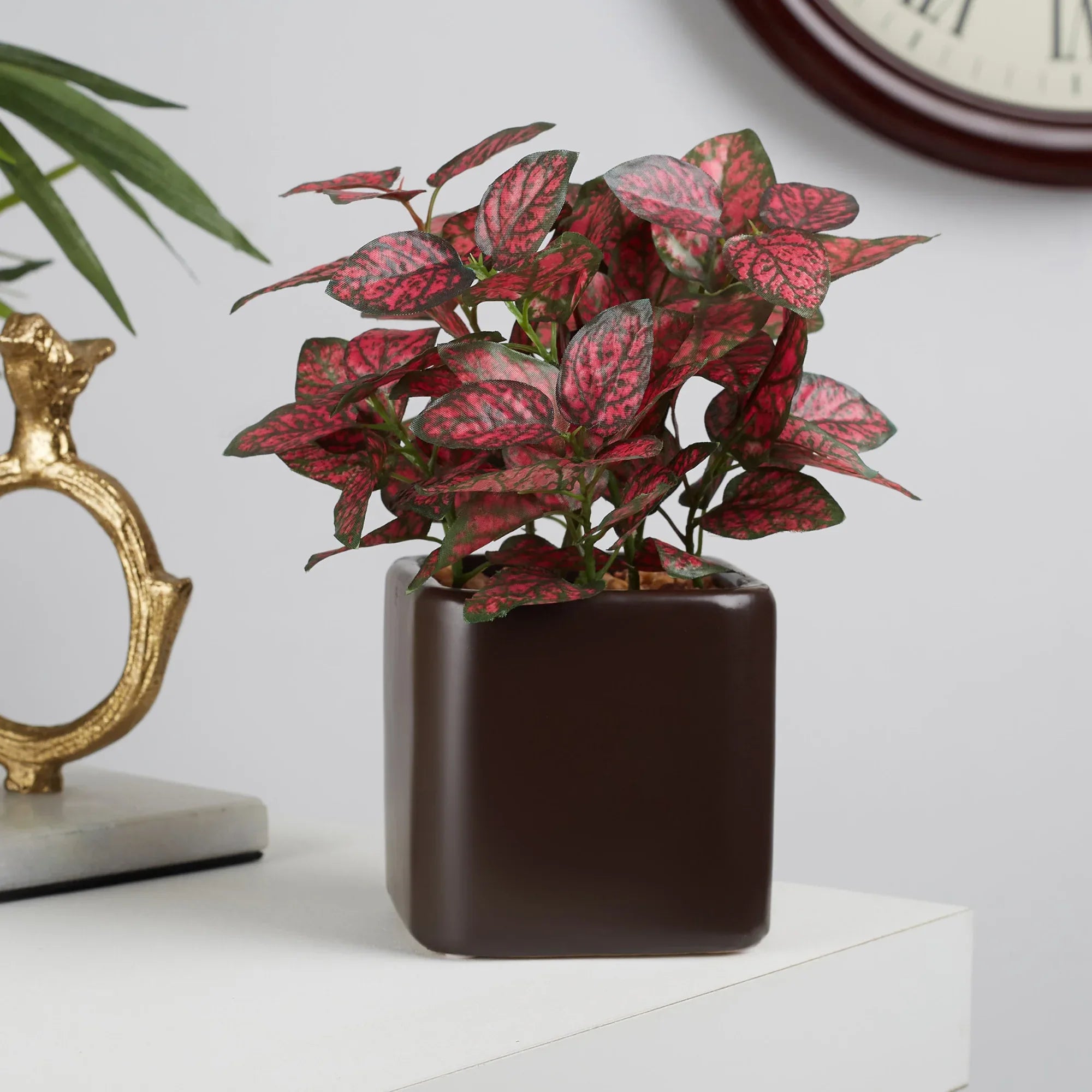 Ilana Faux Hypoestes Ceramic Potted Plant 20 Cm in Red Colour - HomeTown