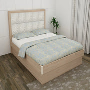 Jordan Queen Bed With Hydraulic storage in Sonam Oak & White Colour - HomeTown