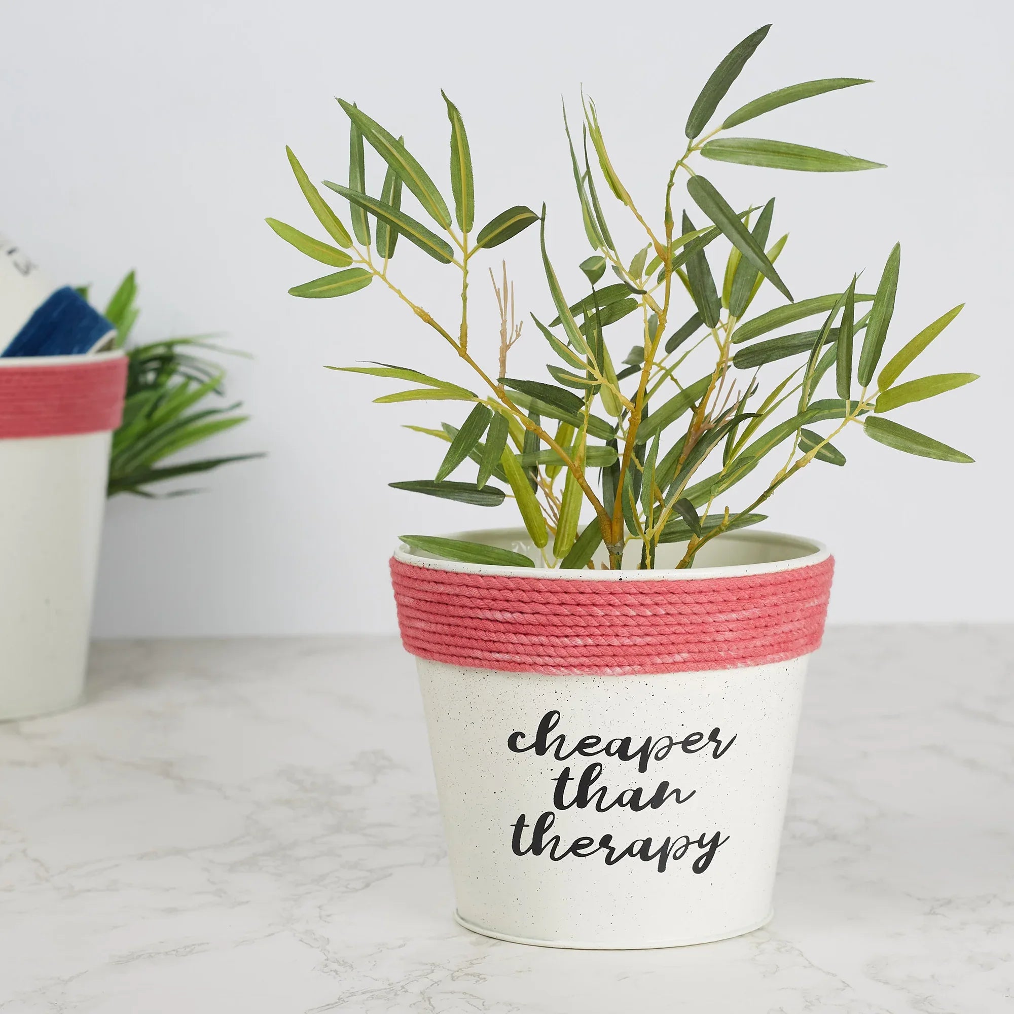 Pep Pop Metal Funky Quote Planter 14Cm in Off White & Fuchsia Colour - HomeTown