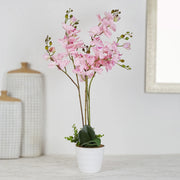 Ilana Artificial Orchid Potted Plant 75Cm in Pink Colour - HomeTown