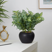 Ilana  Faux Hypoestes Ceramic Potted Plant 27 Cm in Green Colour
