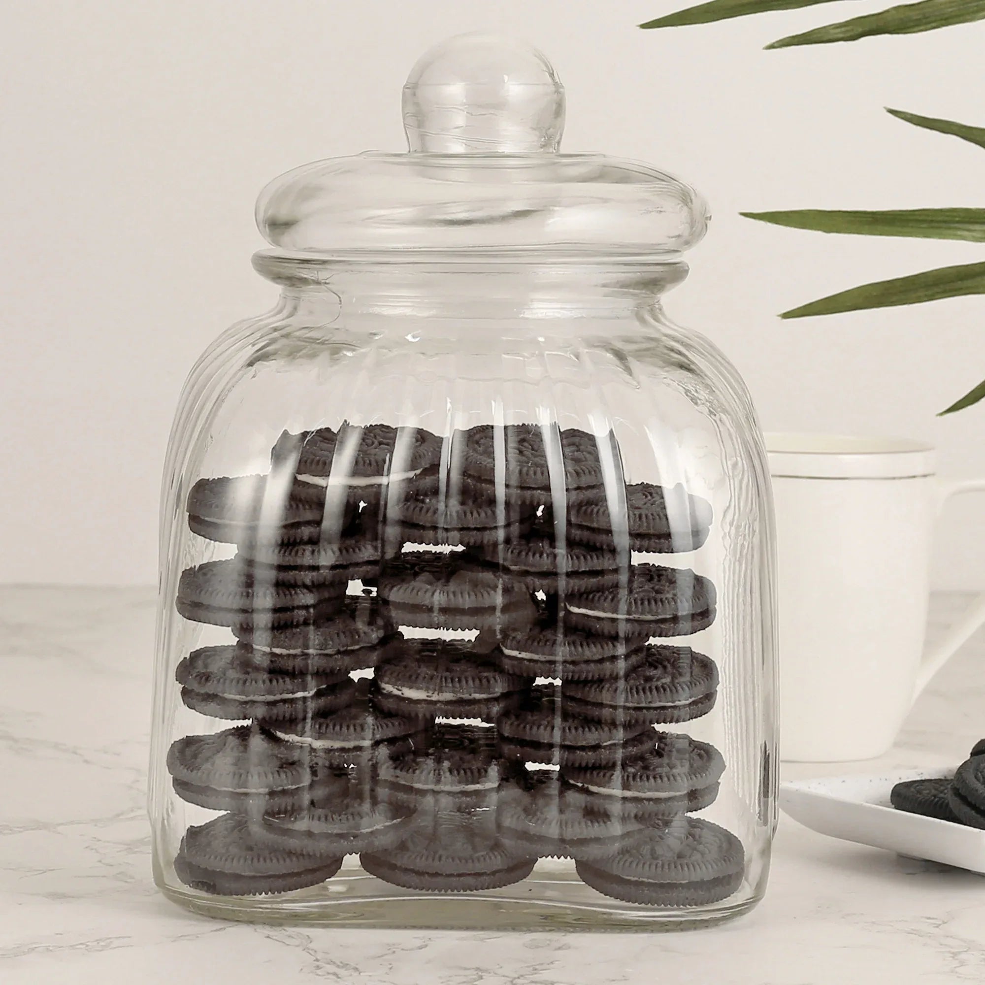 Robust Glass Jar 3000 ml with Lid in Transparent Colour - HomeTown