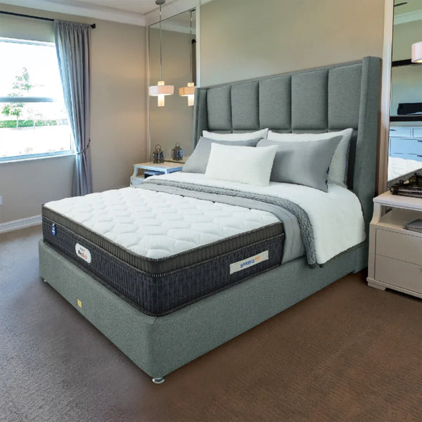 Pro Activ Plus Orthopedic Support HR Foam Queen Mattress 75x60x6 Inch in White Colour dimensions