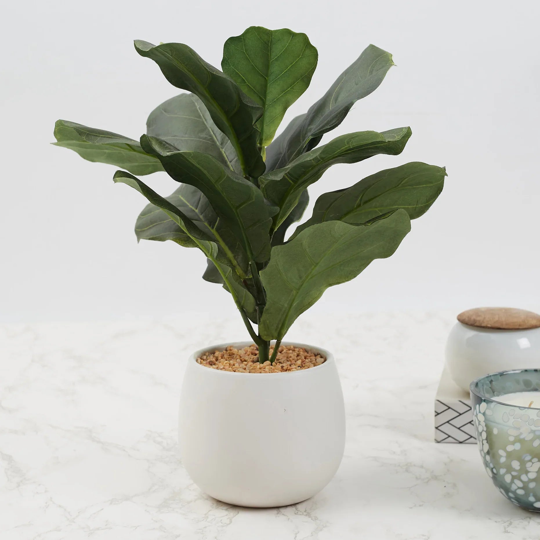 Ilana Faux Fiddle Ceramic Potted Plant 40 Cm in Green Colour - HomeTown