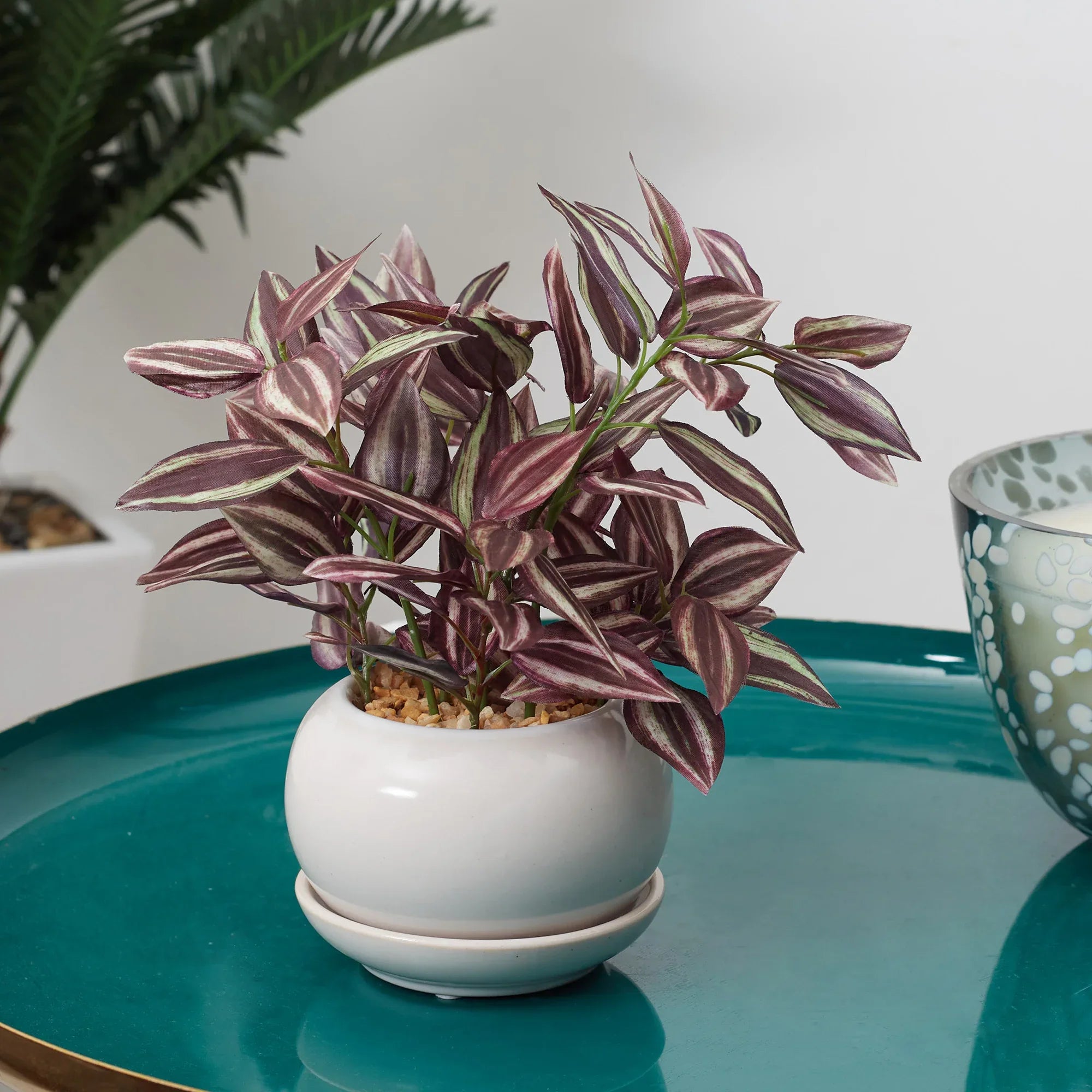 Ilana Faux Wandering Jew Ceramic Potted Plant 24 Cm in Green Colour - HomeTown