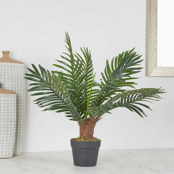 Ilana  Artificial Palm Potted Tree 60Cm in Green Colour dimensions