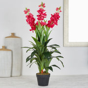 Ilana Artificial Cordate Potted Plant 90Cm in Pink Colour - HomeTown