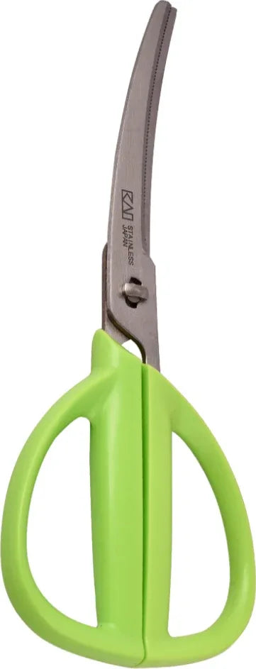 Curve Stainless steel Kitchen Scissor in Green Colour - HomeTown