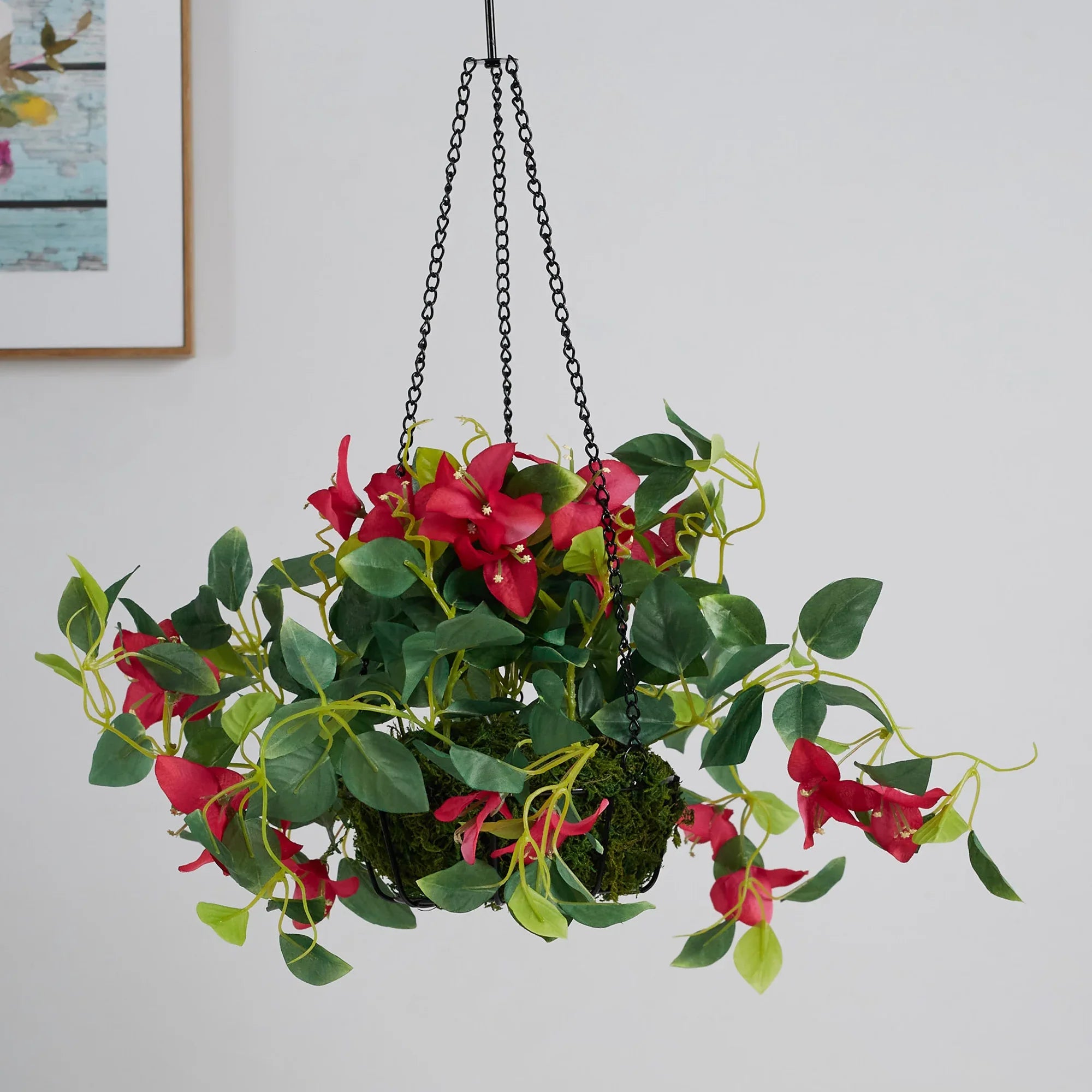 Ilana Faux Hanging Bougainvillea With Pot 54 Cm in Fuschia Colour - HomeTown