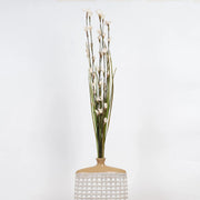 Fleur Dried Flower Stick 90Cm in White Colour - HomeTown