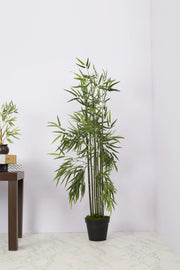 Ilana Faux Bamboo Potted Plant 103 Cm in Green Colour - HomeTown