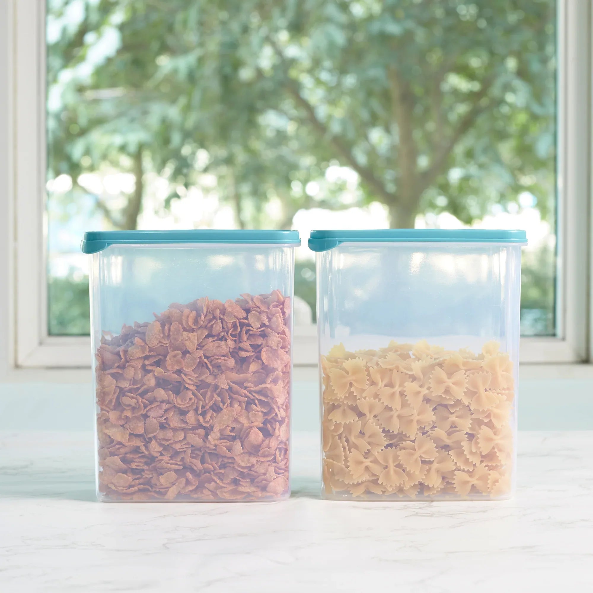 Modular Mate Plastic Rectangular Container 2600ml Set of 2 in Teal & Transparent Colour - HomeTown