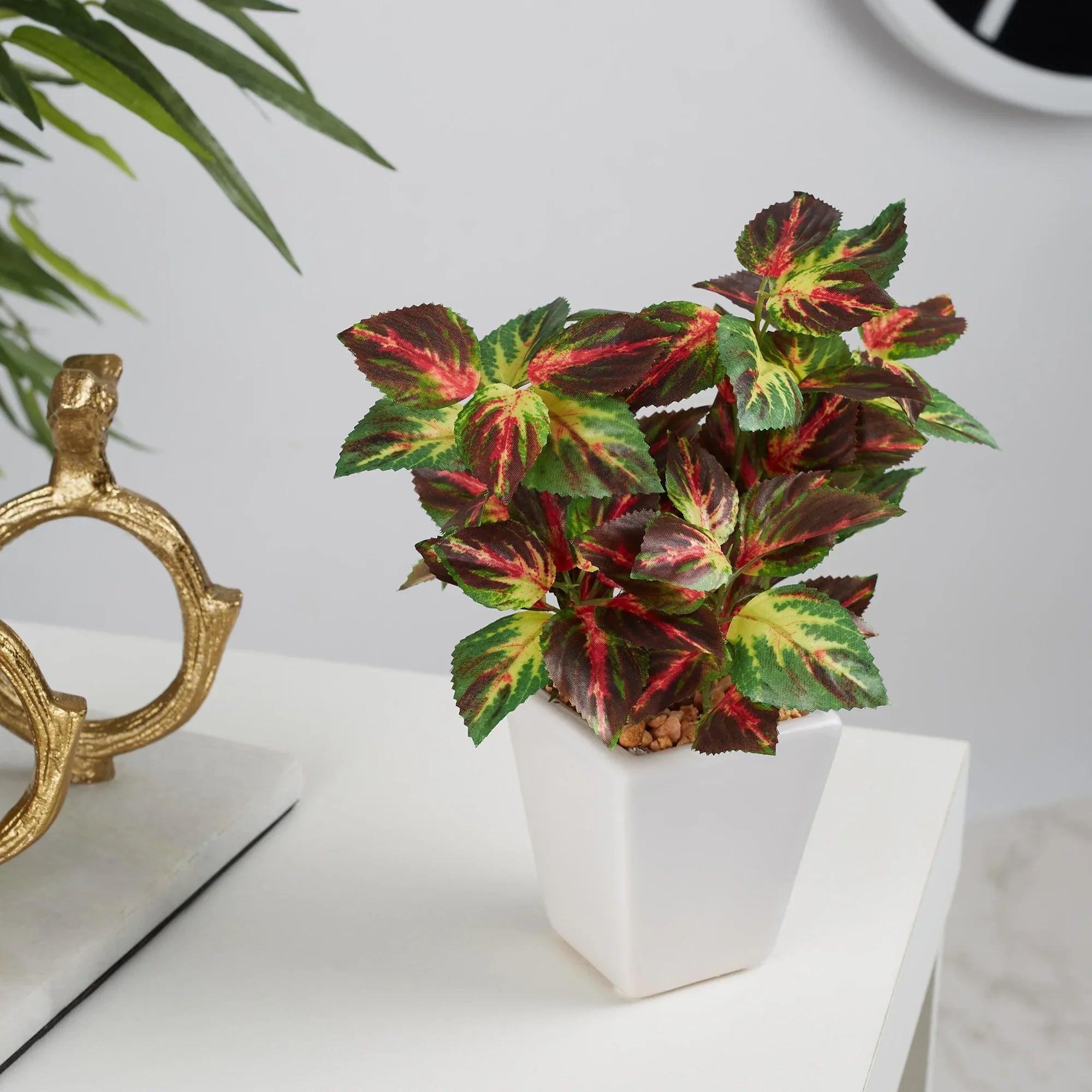 Ilana Faux Coleus Ceramic Potted Plant 19 Cm in Green Colour - HomeTown