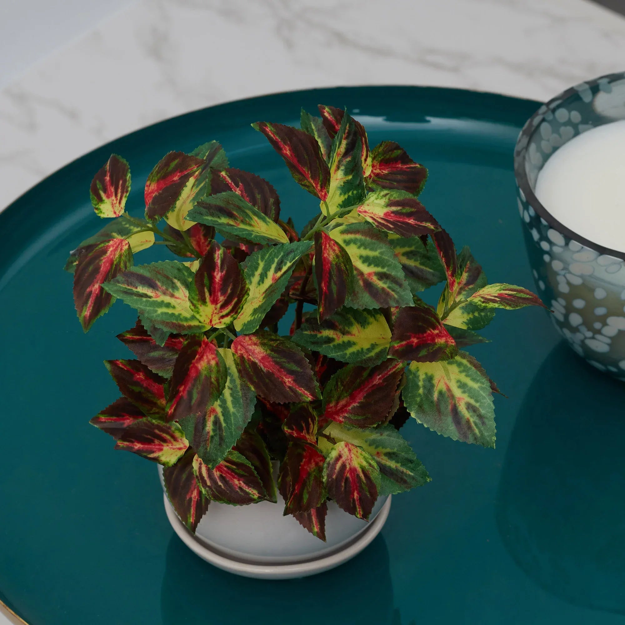 Ilana Faux Coleus Ceramic Potted Plant 24 Cm in Green Colour - HomeTown