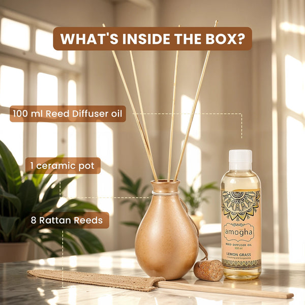 Iris Amogha Reed Diffuser dimensions