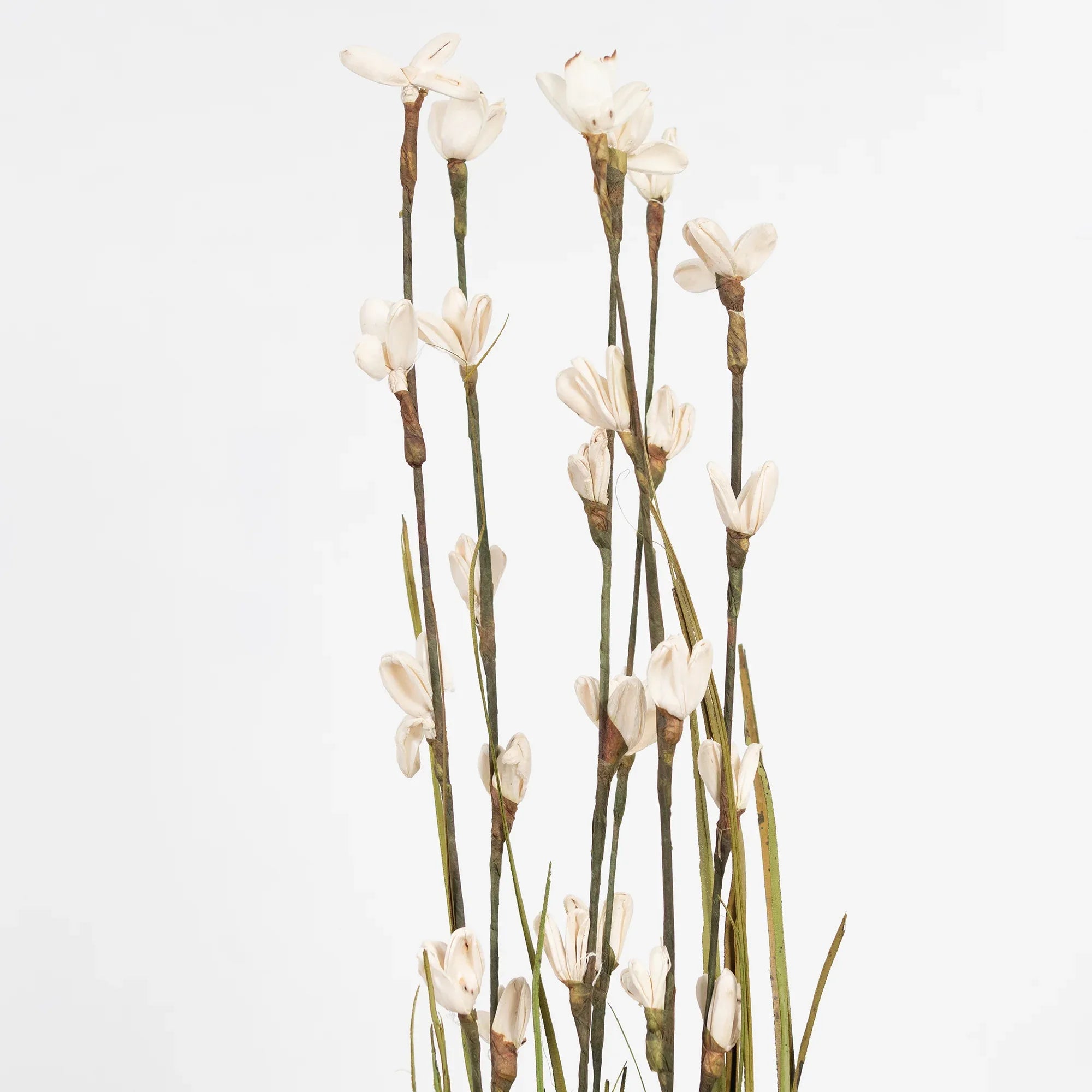Fleur Dried Flower Stick 90Cm in White Colour - HomeTown