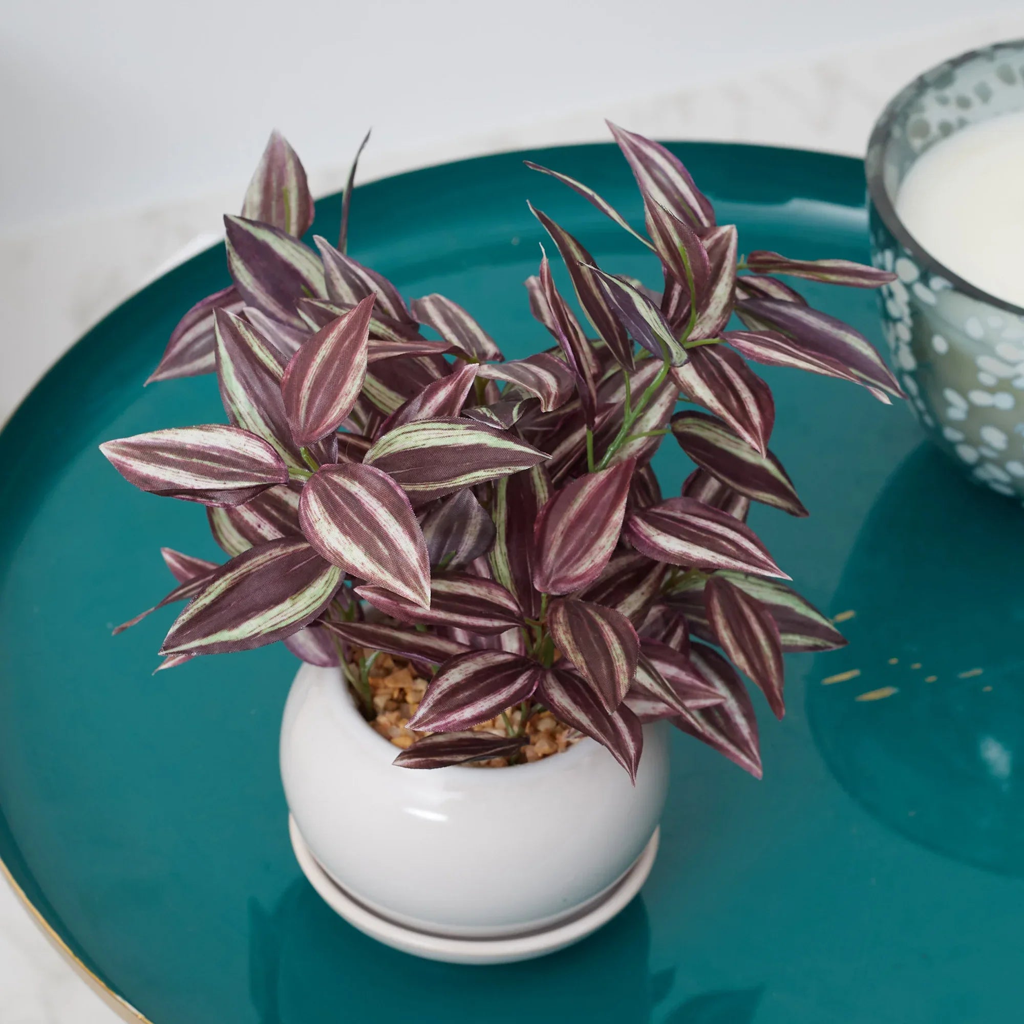 Ilana Faux Wandering Jew Ceramic Potted Plant 24 Cm in Green Colour - HomeTown